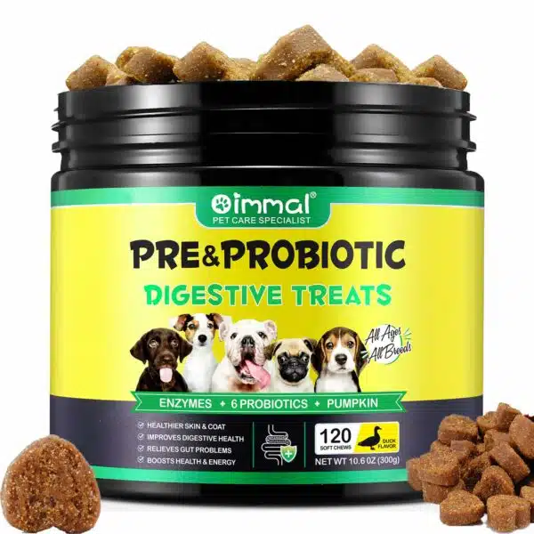 Dog Food to Help Yeast Infections: Top Nutritious Picks