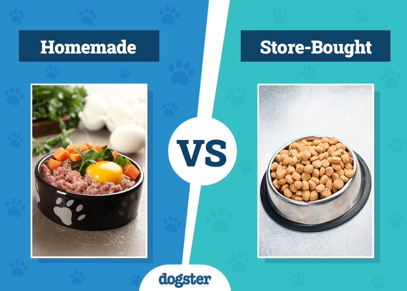 Dog Food Vs Home Food: Unveiling the Best Choice for Your Pet
