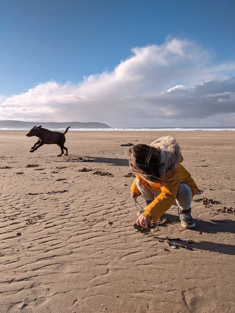 Dog-Friendly Winter Activities in the UK: Fun & Frolic