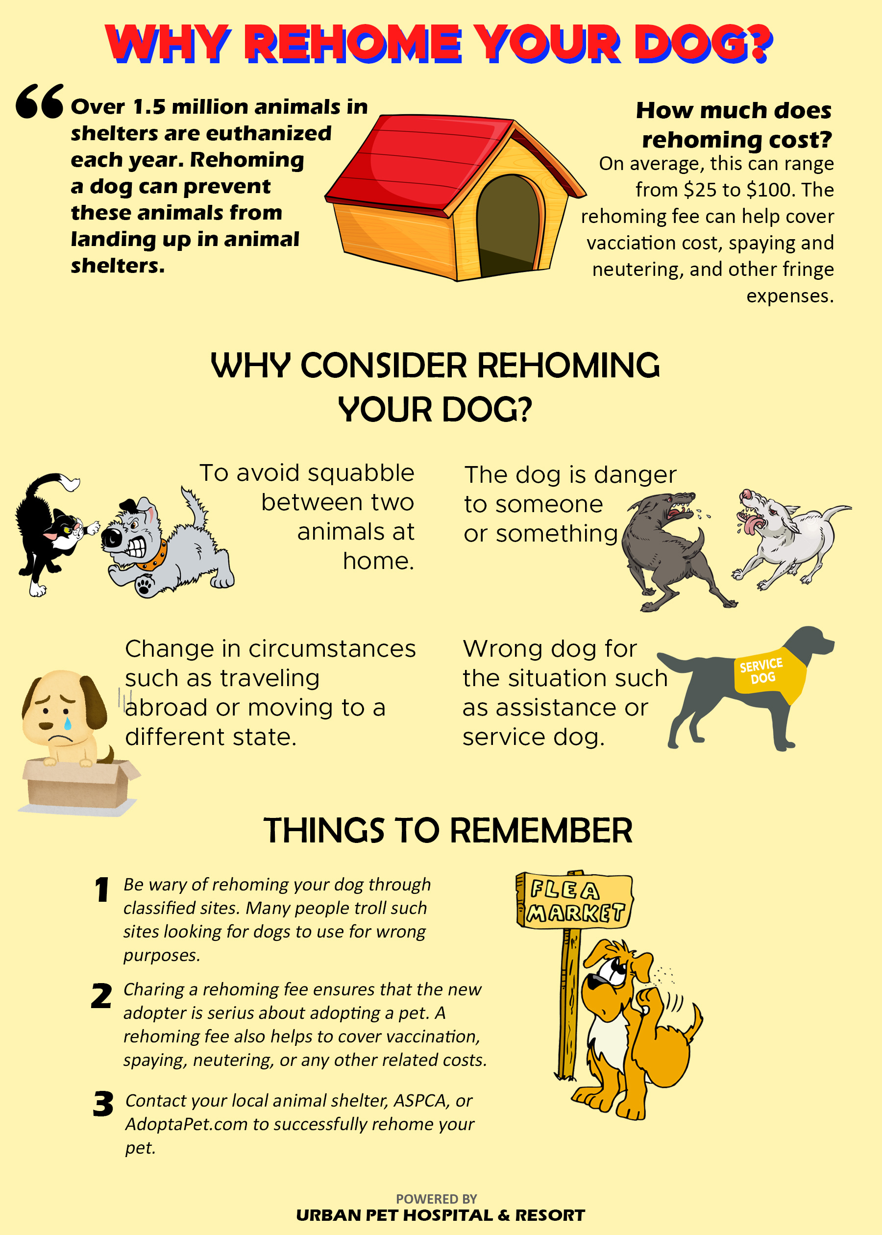 dog rehoming ideas creative ways to find your pup a new home