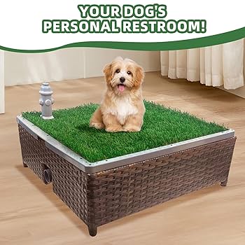 Dog Toilet Training Grass: Potty Solutions Simplified