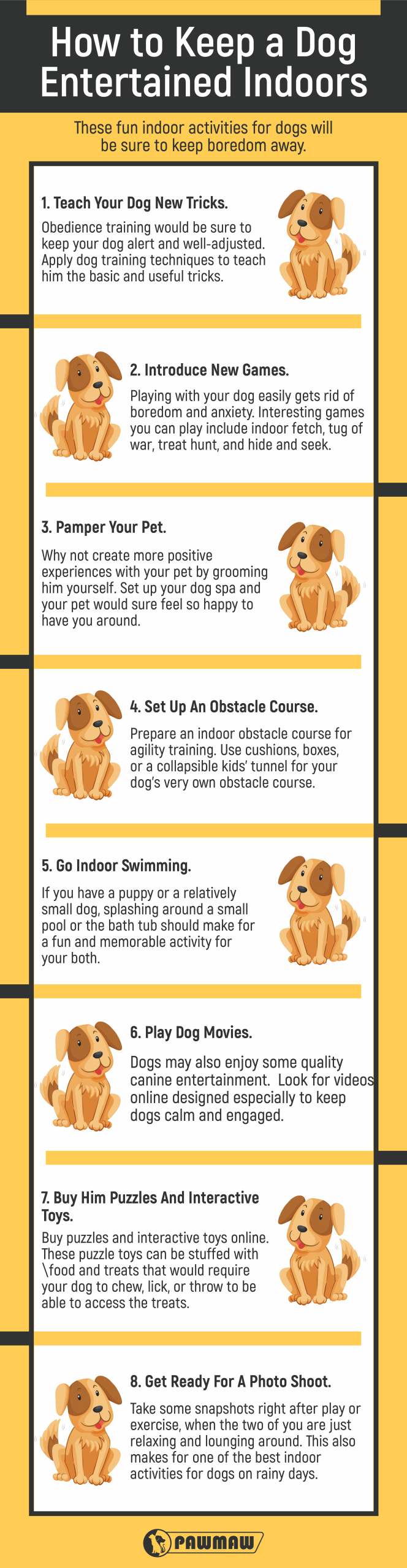 Dog Training Ideas for Fun: Exciting Activities for Your Pup