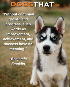 Dog Training Quotes: Inspire Your Pup’s Progress!