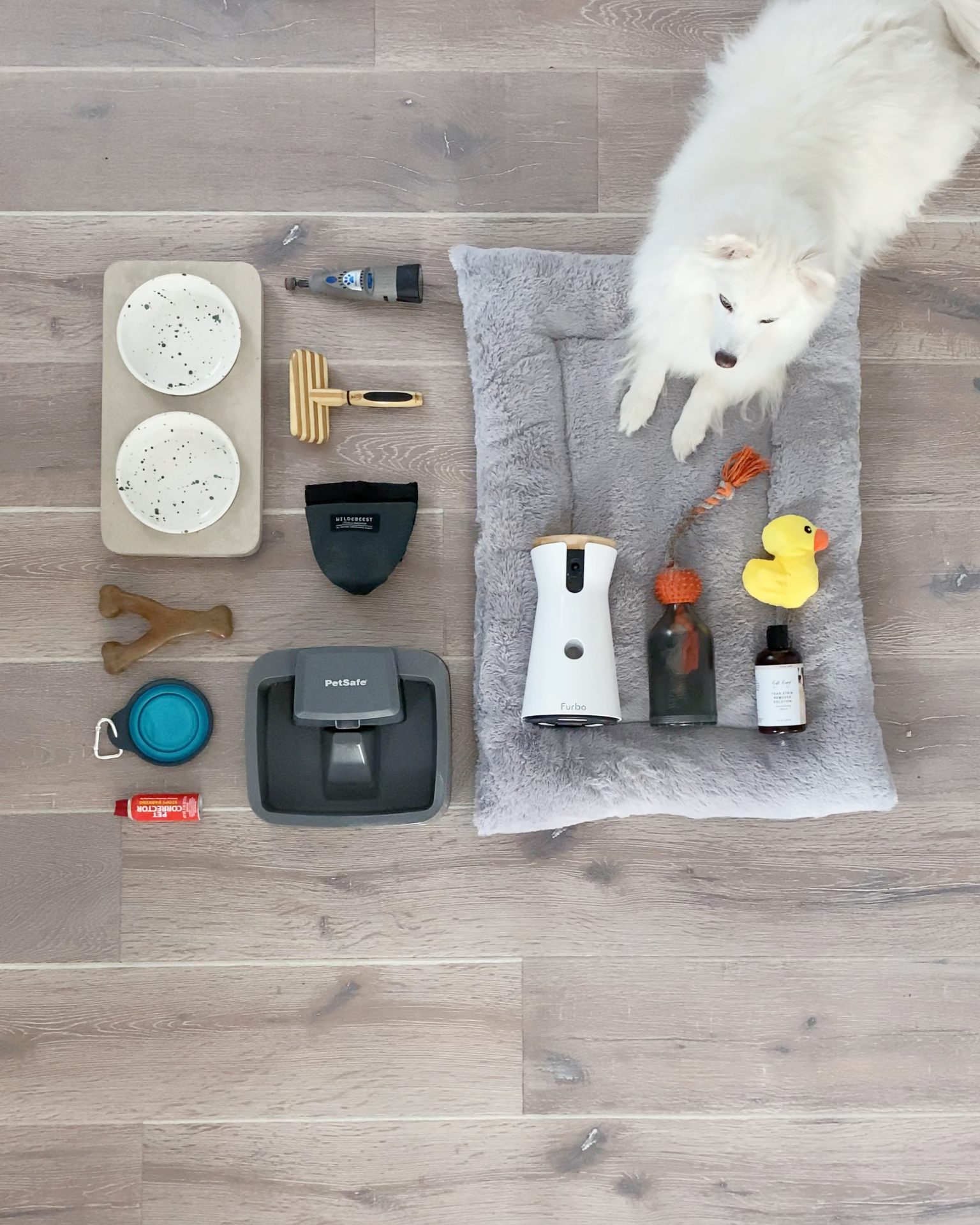 essential dog care products for every pet owner must haves