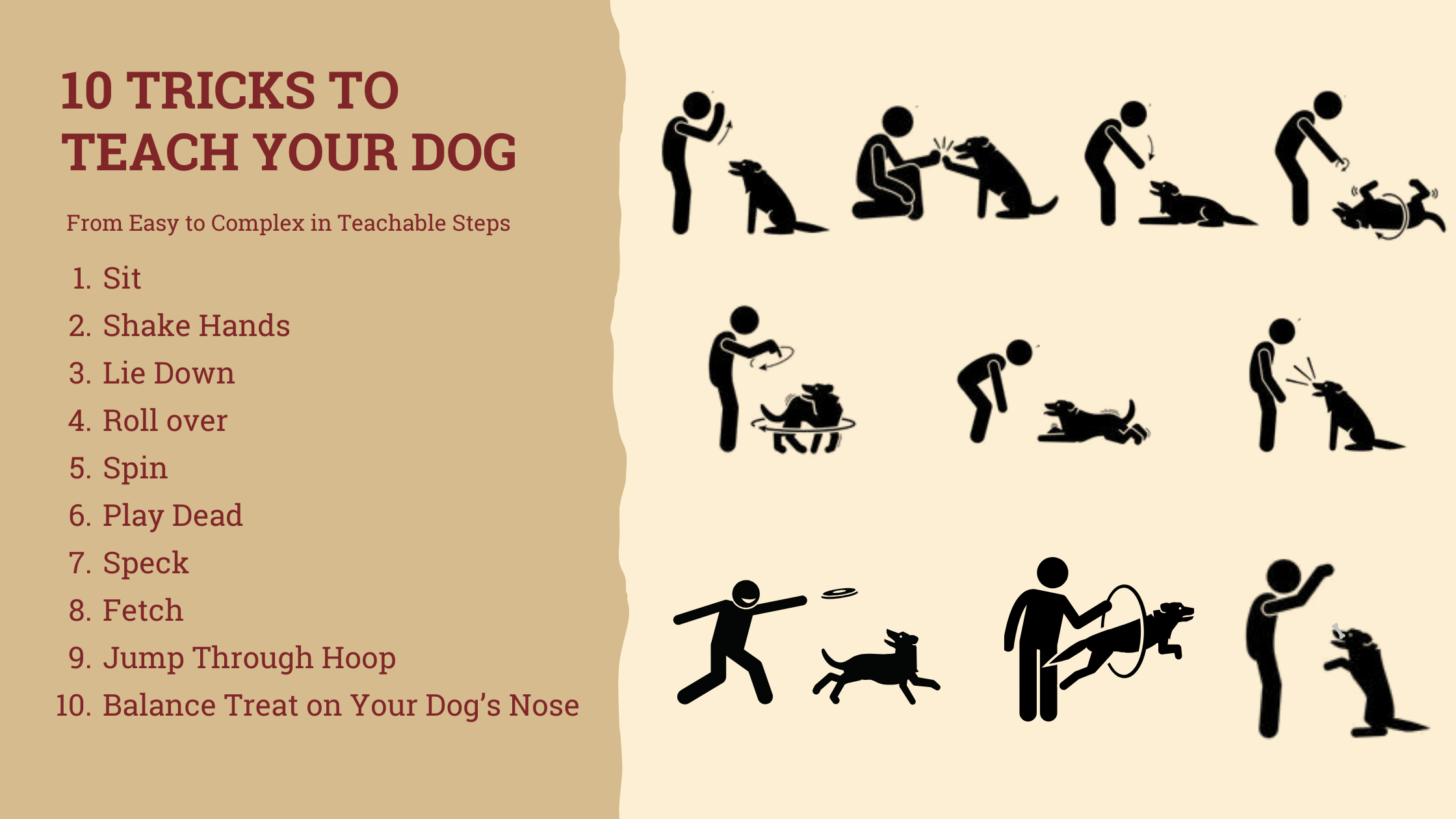 Fun Dog Training Tricks: Teach Your Pup New Skills Today!