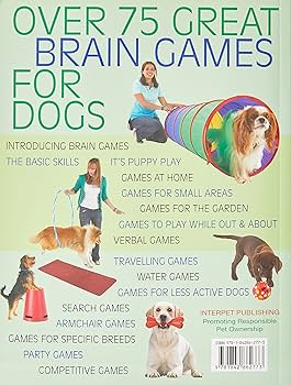 Fun Training Games for Dogs: Boosting Skills and Bonding