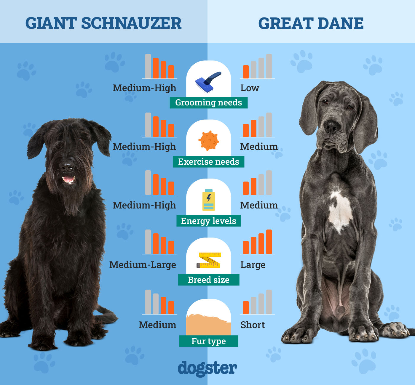 Giant Schnauzer Vs Great Dane: Ultimate Breed Comparison