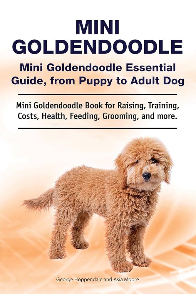 goldendoodle health issues essential tips for a happy pup