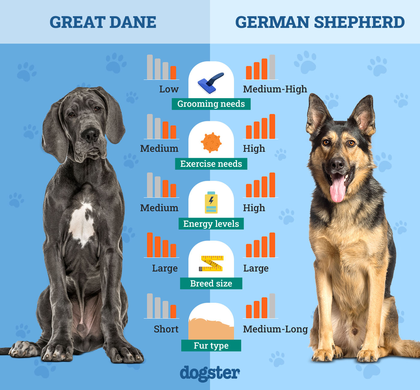 Great Dane Vs German Shepherd: Which Breed is Best for You?