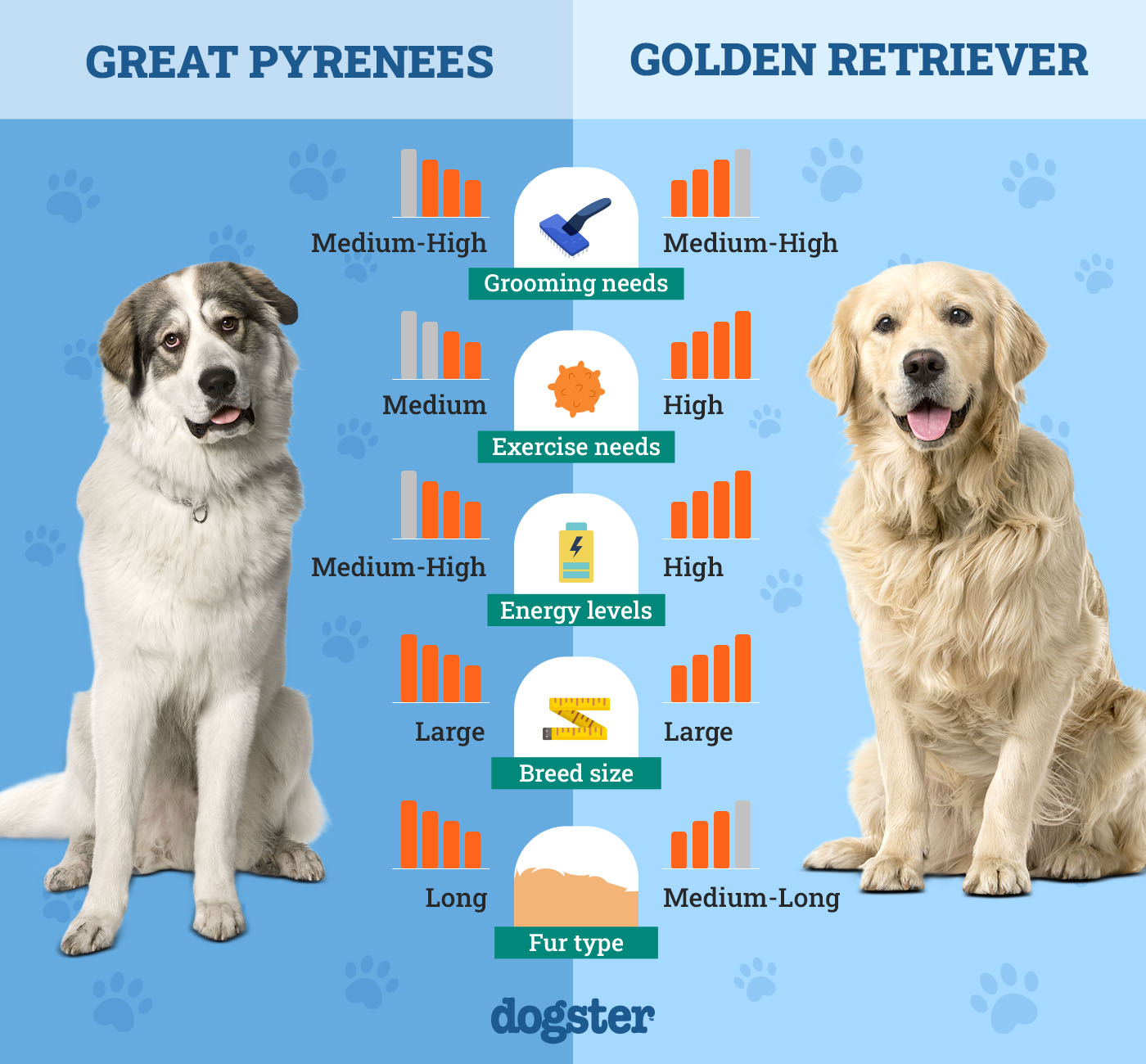 Great Pyrenees Vs Golden Retriever: Best Family Pet?