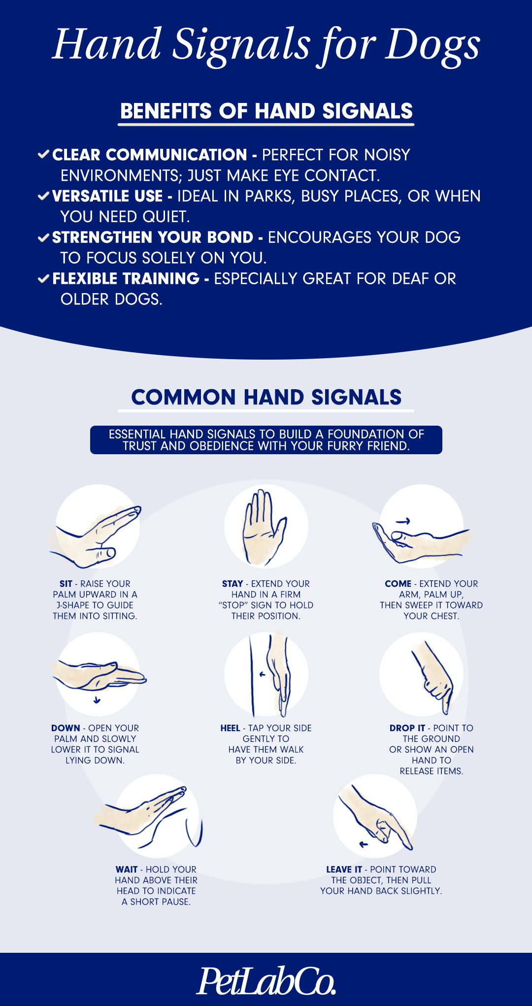 hand signals for dogs master communication with your pet
