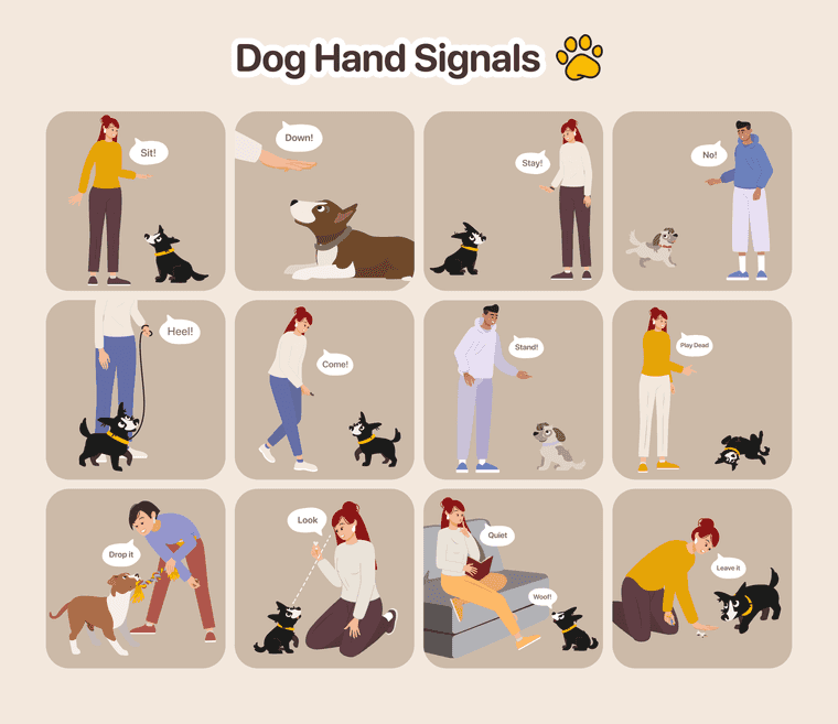 hand signals for training dogs master commands easily
