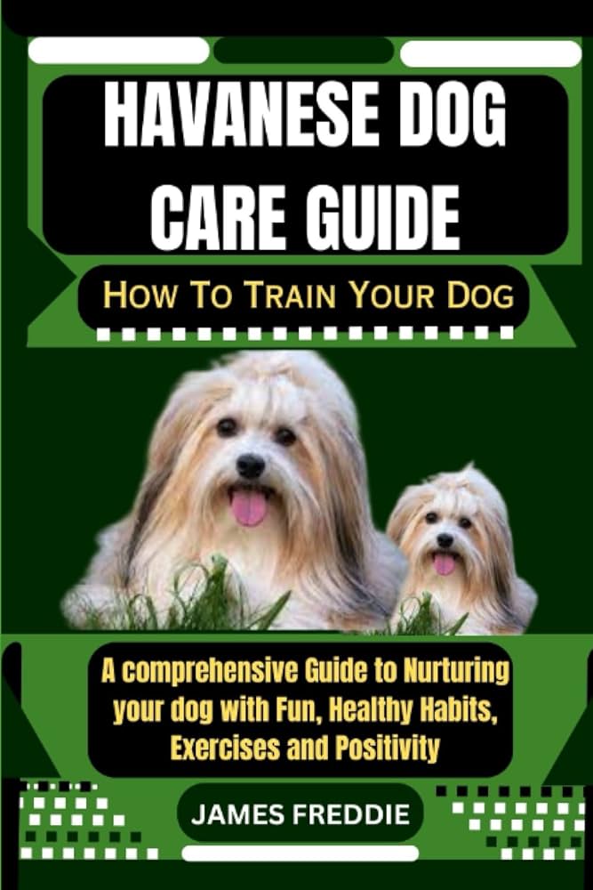 havanese health issues essential care tips for a healthy pup