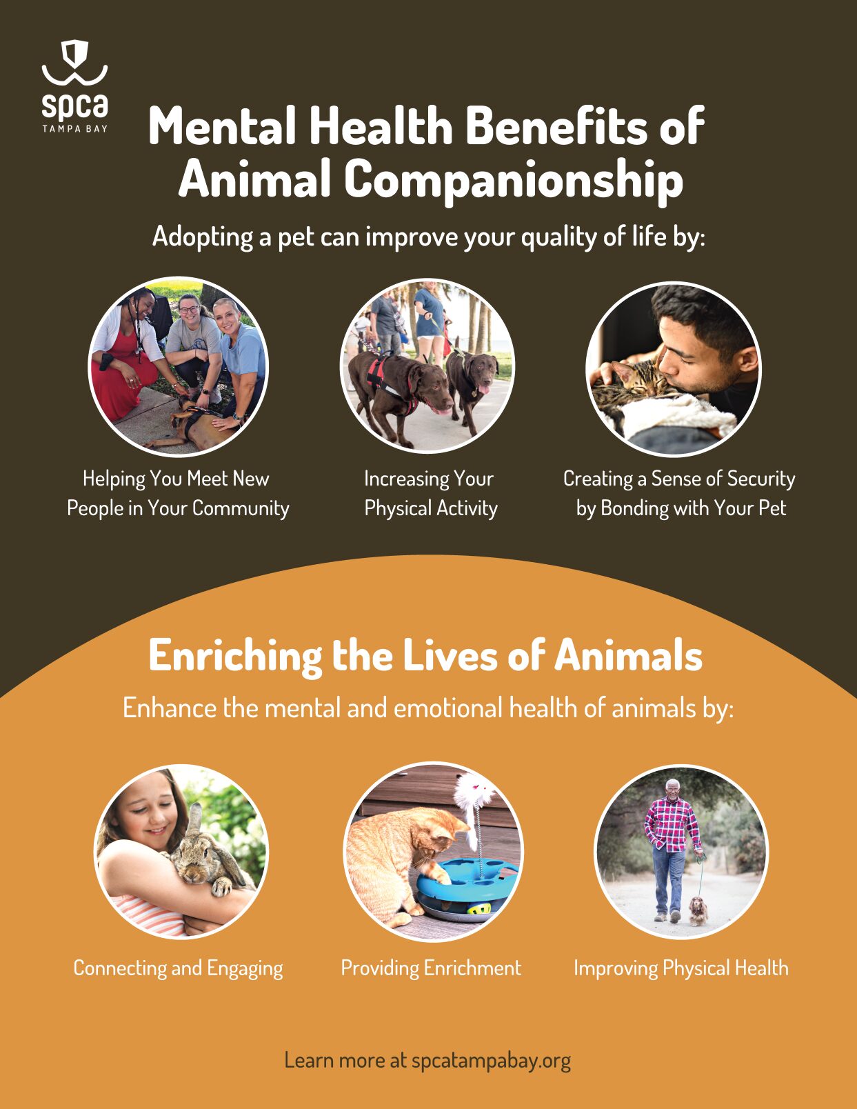 health benefits of emotional support animals boosting mental wellness