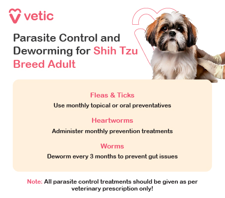 Health Problems In Shih Tzus: Essential Care Tips for Owners