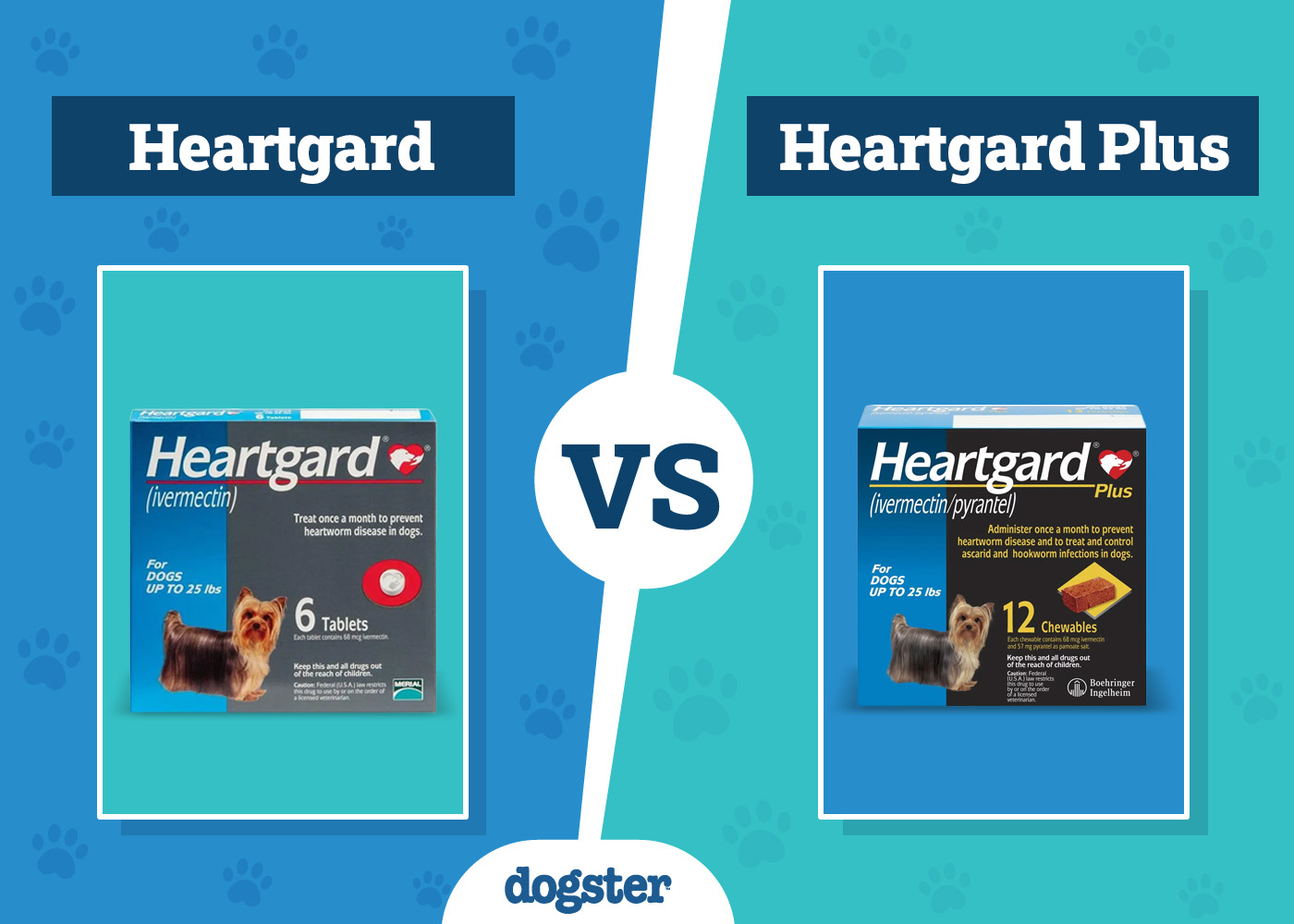 heartgard vs heartgard plus ultimate showdown