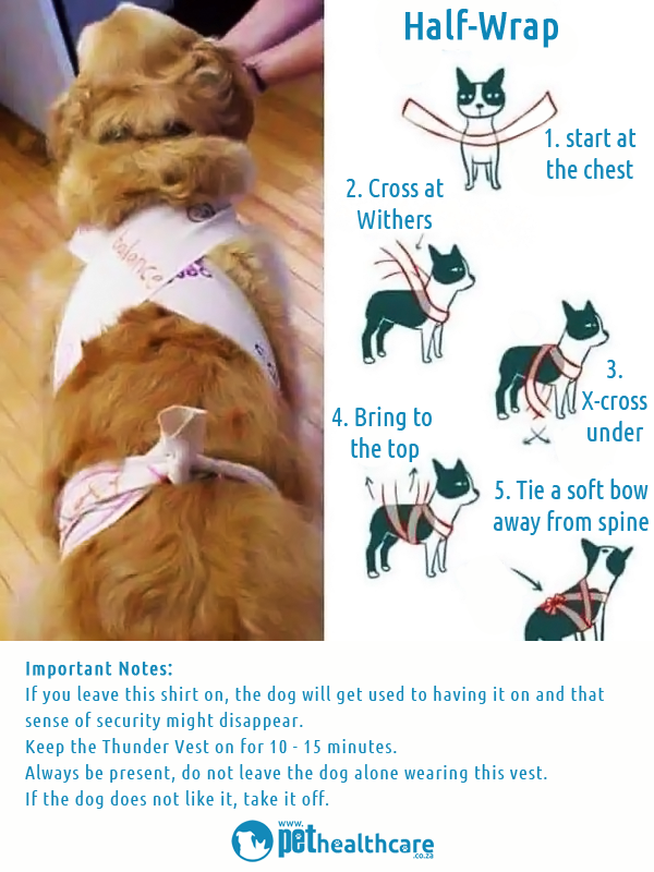 home remedies for dogs scared of thunder soothe calm