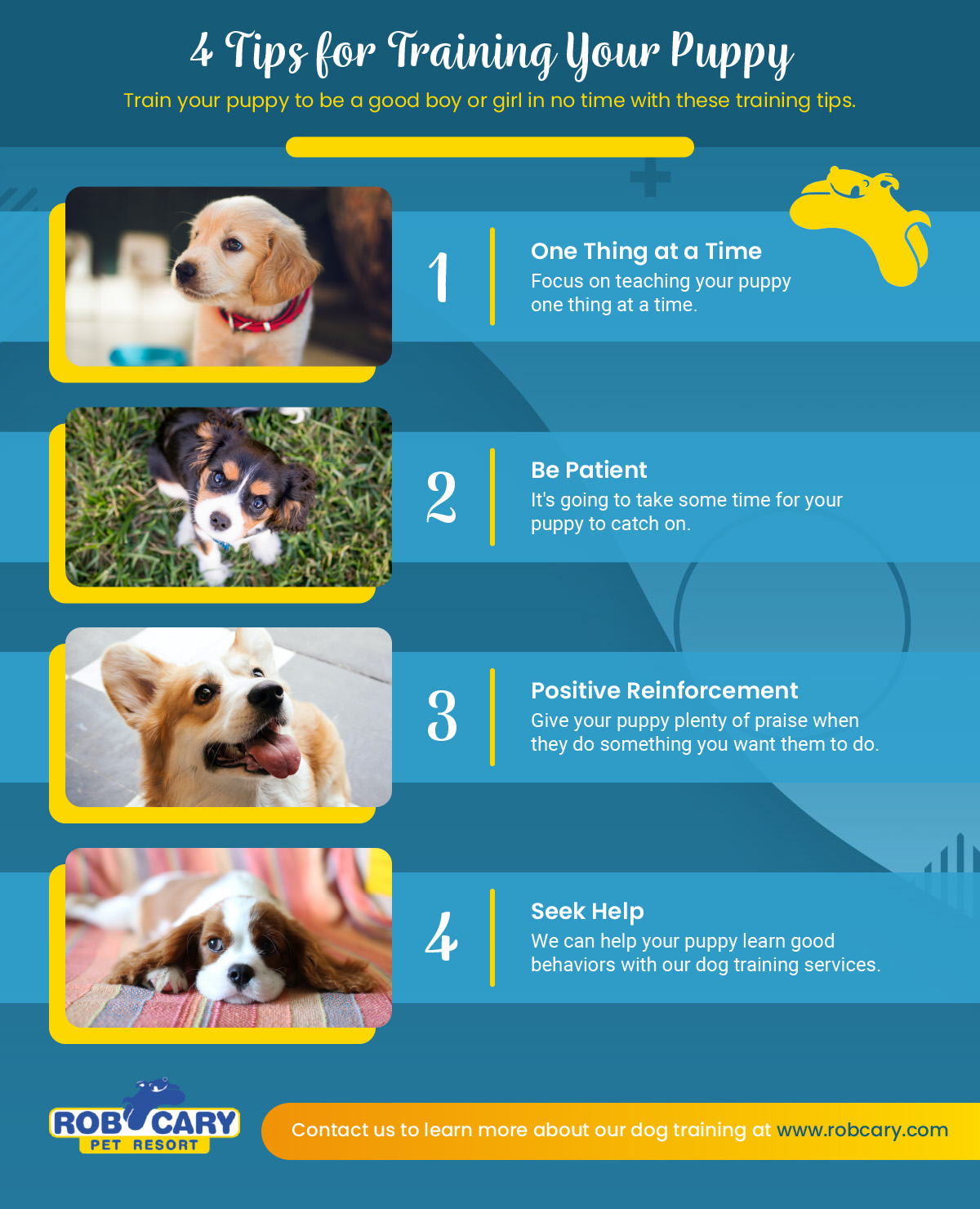 How Do I Start Training My Dog: Expert Tips for Success