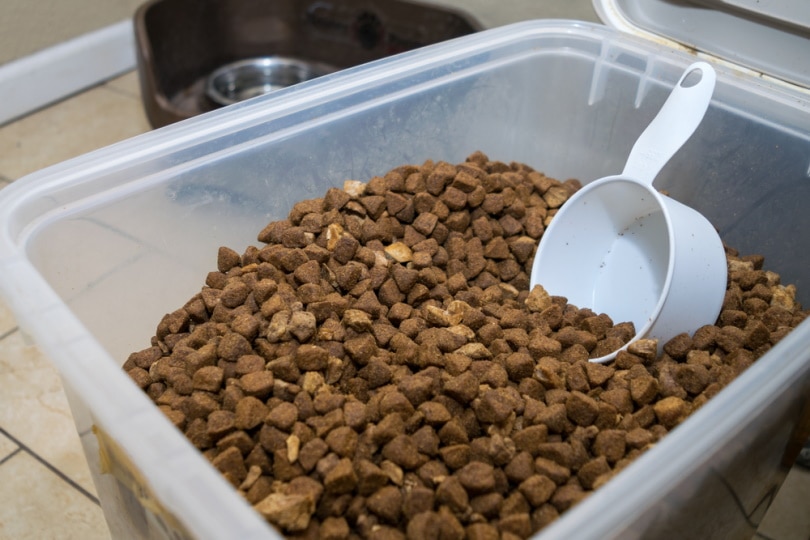 how do you know if dog food went bad spot signs now