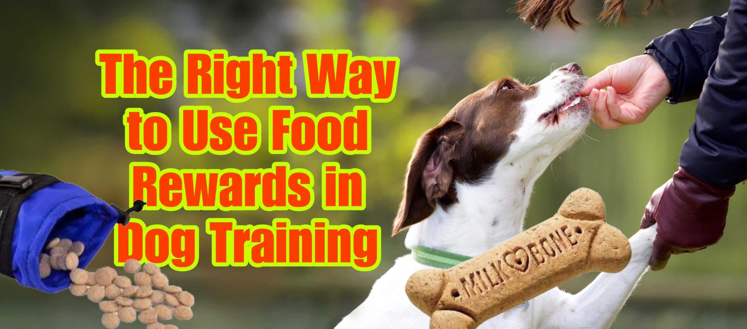 How Long to Use Treats for Dog Training: Expert Tips Revealed