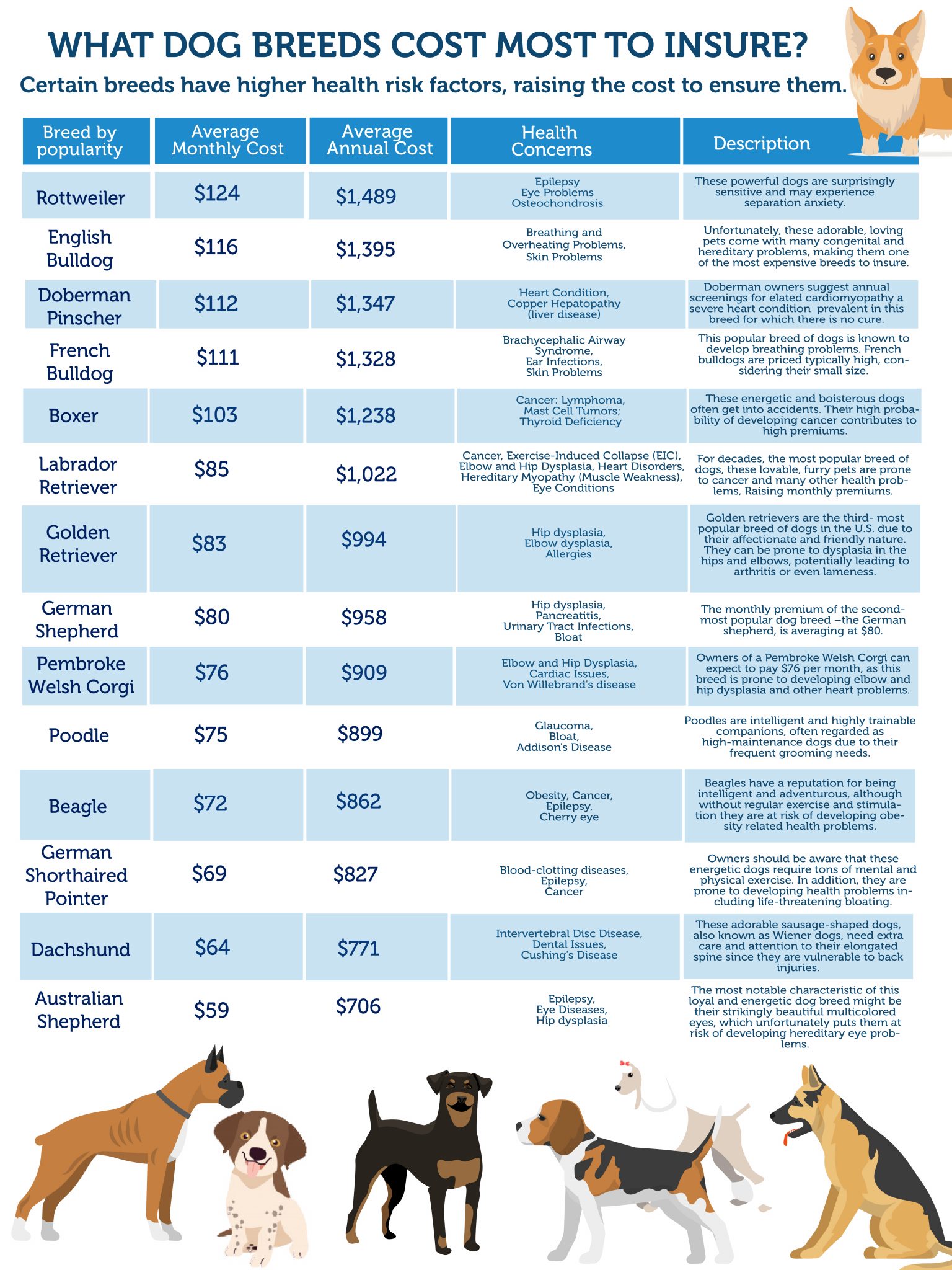 How Much Does Dog Breeding Cost: Insider Insights