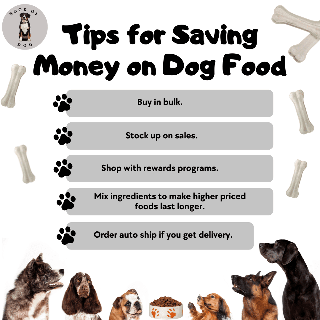 How Much Does Dog Food Cost Per Month: Budgeting Secrets