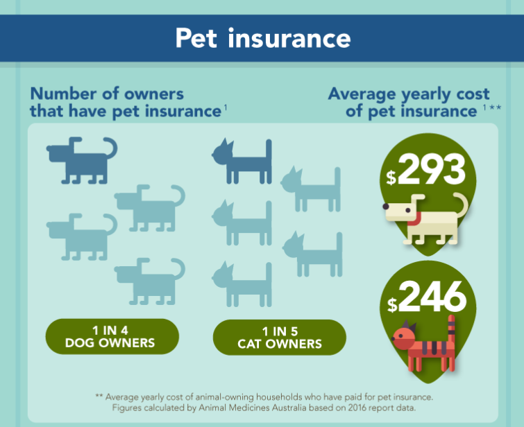 How Much Does Dog Insurance Cost in Australia: Essential Guide
