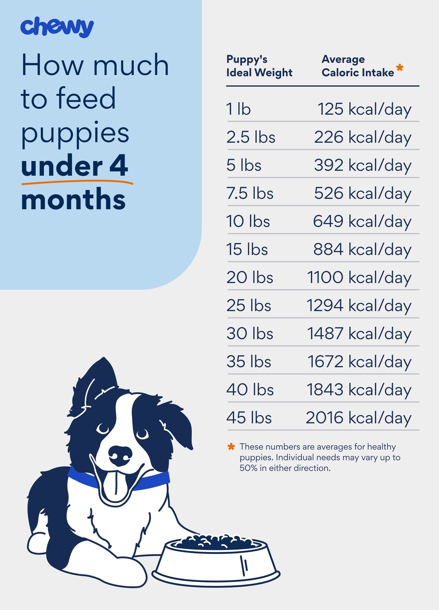 How Much Dog Food for a Puppy: The Ultimate Guide