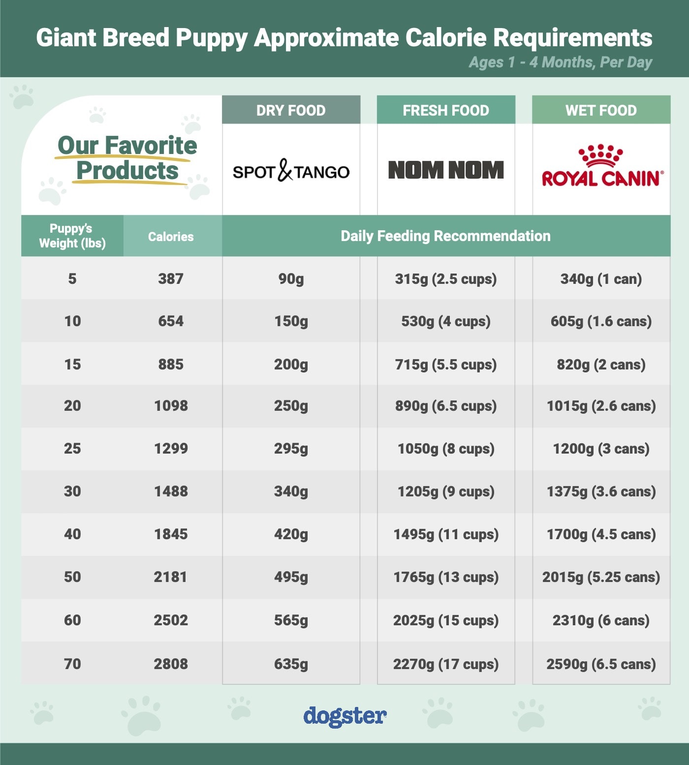 How Much Food Does A Great Dane Need: Daily Diet Breakdown