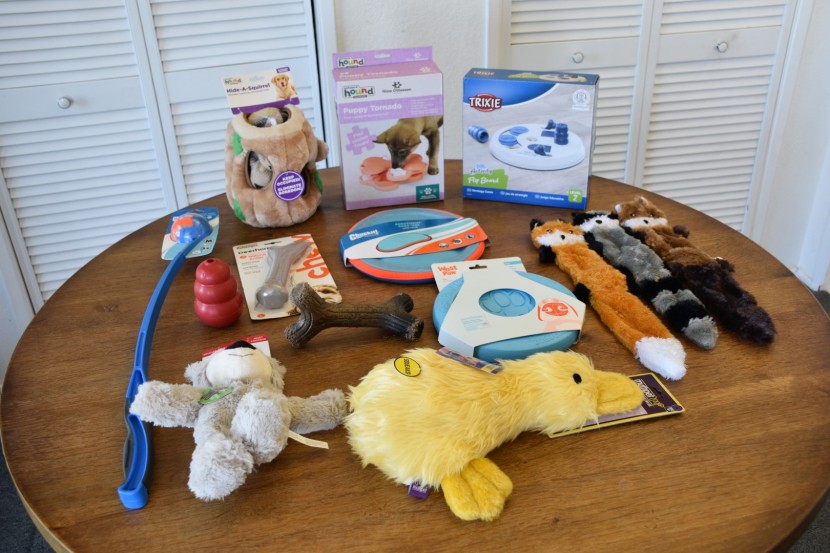 How Much is Dog Toys Cost: Budget-Friendly Picks