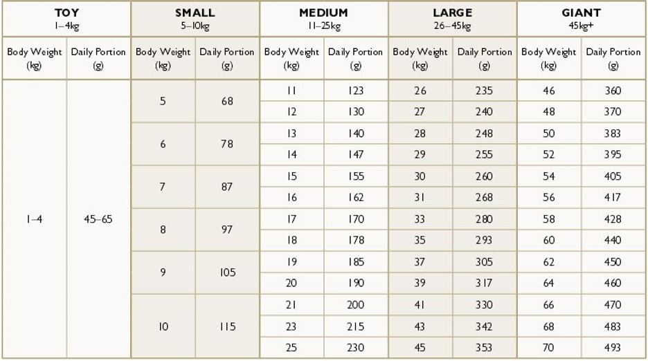 How Much Should a 1 Year Old Pitbull Eat: Optimal Diet Guide