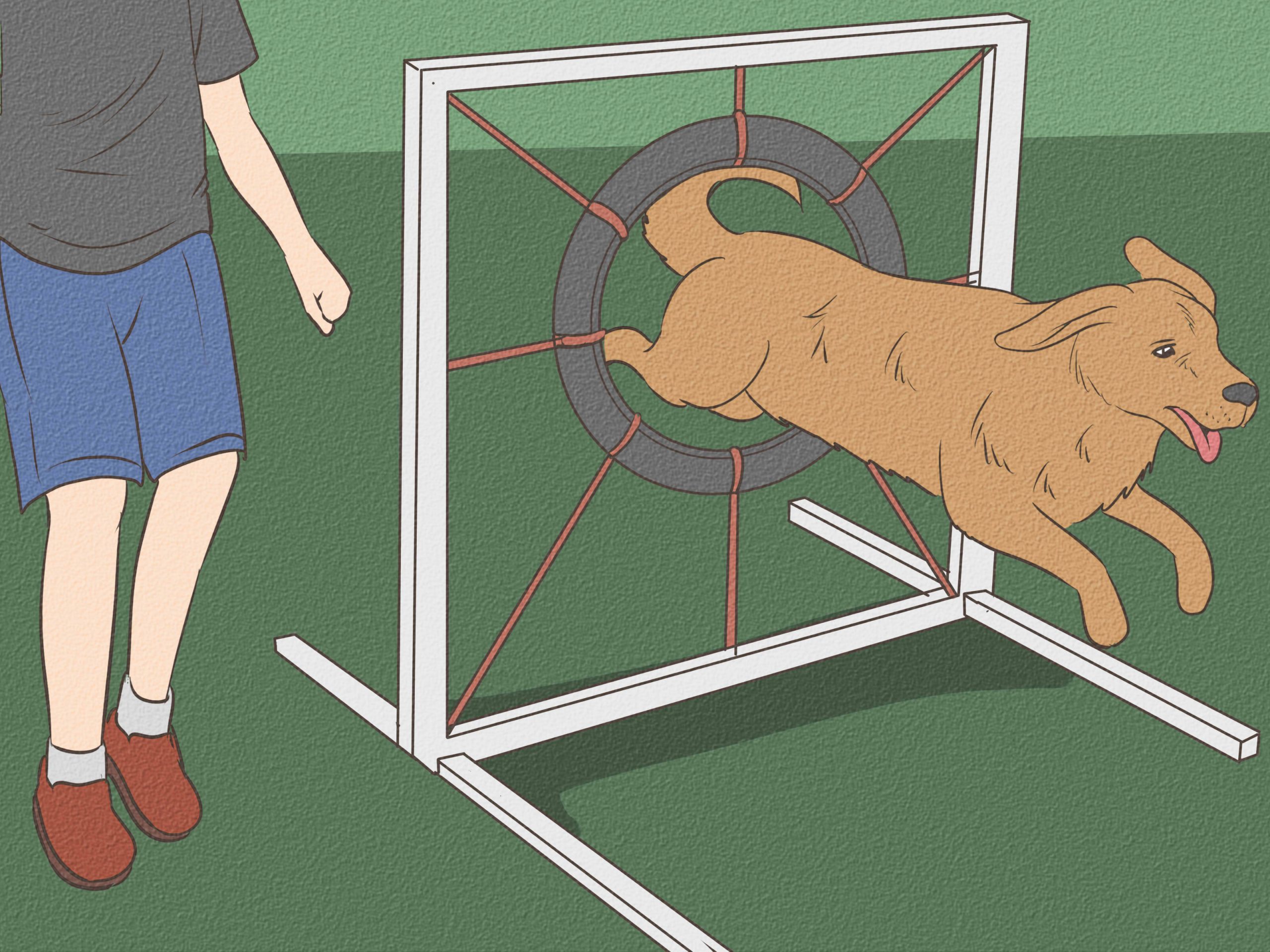 How to Build a Dog Agility Course: Easy DIY Steps