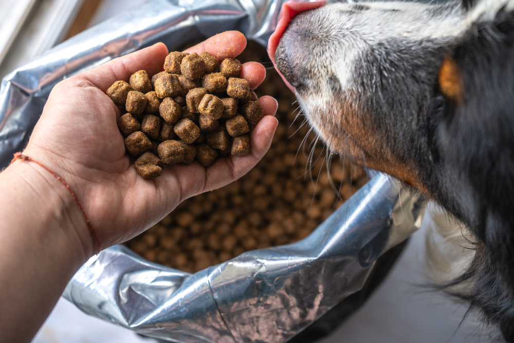 How To Calculate Pet Food Dry Matter Basis With Calculator: Quick Guide