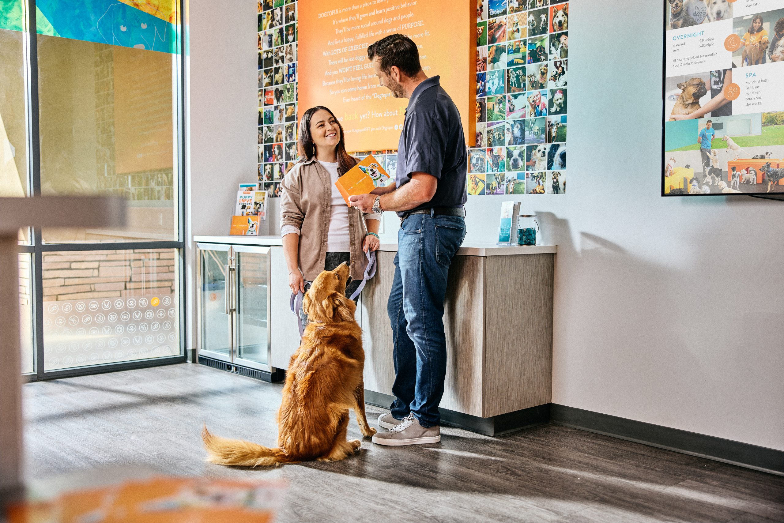 How to Choose a Dog Daycare: Ultimate Guide & Tips
