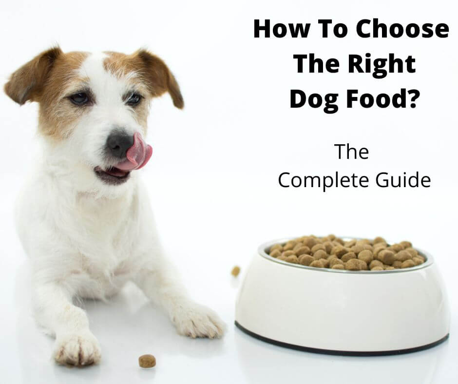 how to choose the right puppy food a complete guide