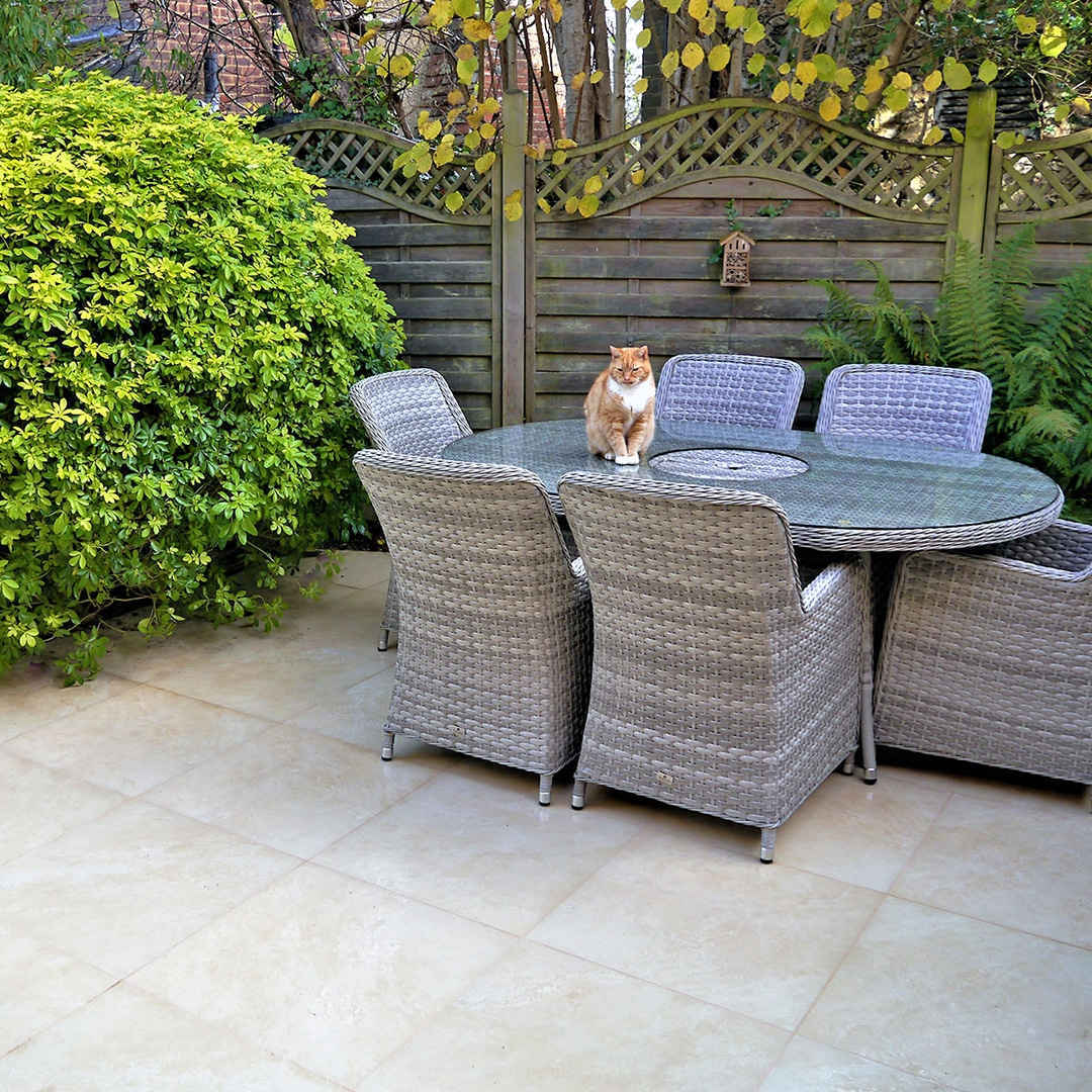 How to Create a Dog-Friendly Patio: The Ultimate Guide