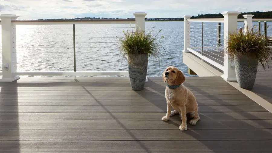 how to create a dog safe balcony ultimate guide
