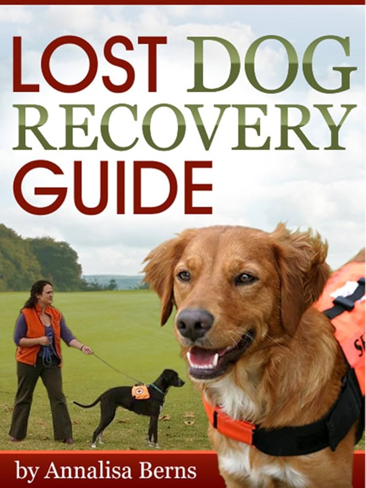 How to Find a Lost Dog: Essential Steps for a Happy Reunion
