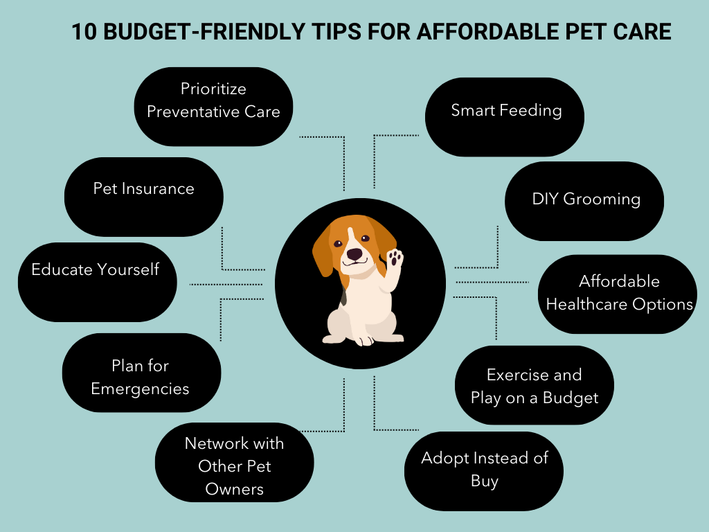 How to Get a Cheap Dog: Budget-Friendly Tips