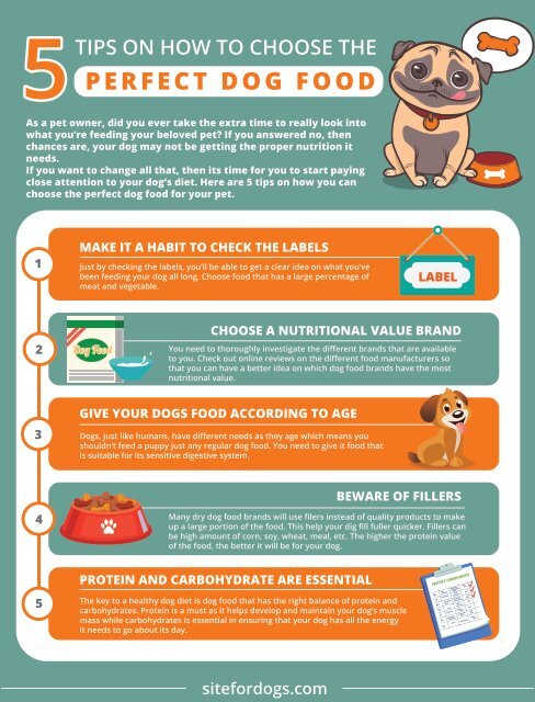 how to get dogs nutrition essential tips for pet owners