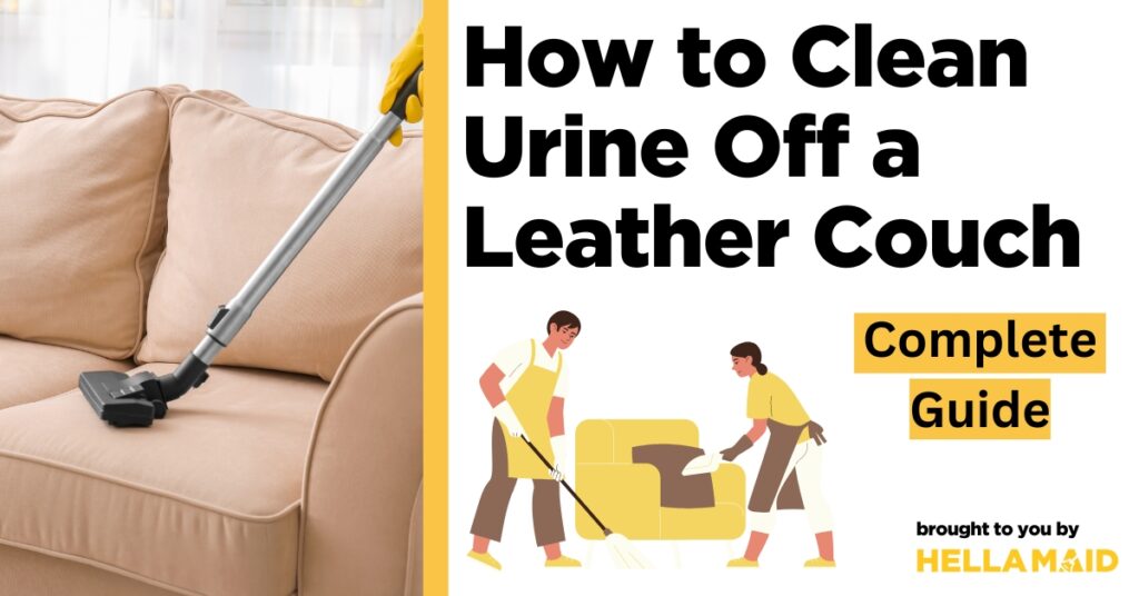 how to get pet pee smell out of a leather couch ultimate guide
