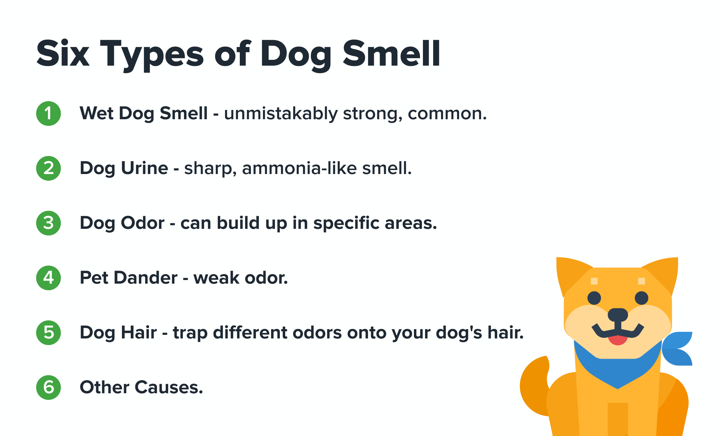 How To Get Rid Of Pet Odors In Apartment: Fresh Tips!