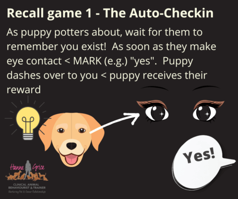 How to Get Your Dog’s Attention Sound: Quick Tips!
