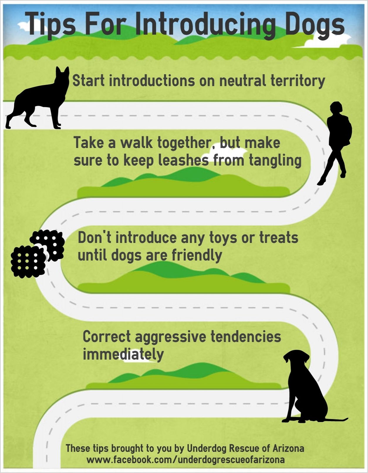 How to Introduce a Dog to a New Home: Easy Steps & Tips