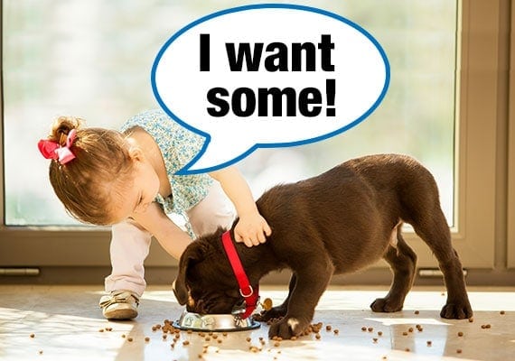 How to Keep Dog Food Away from Baby: Safe & Simple Tips