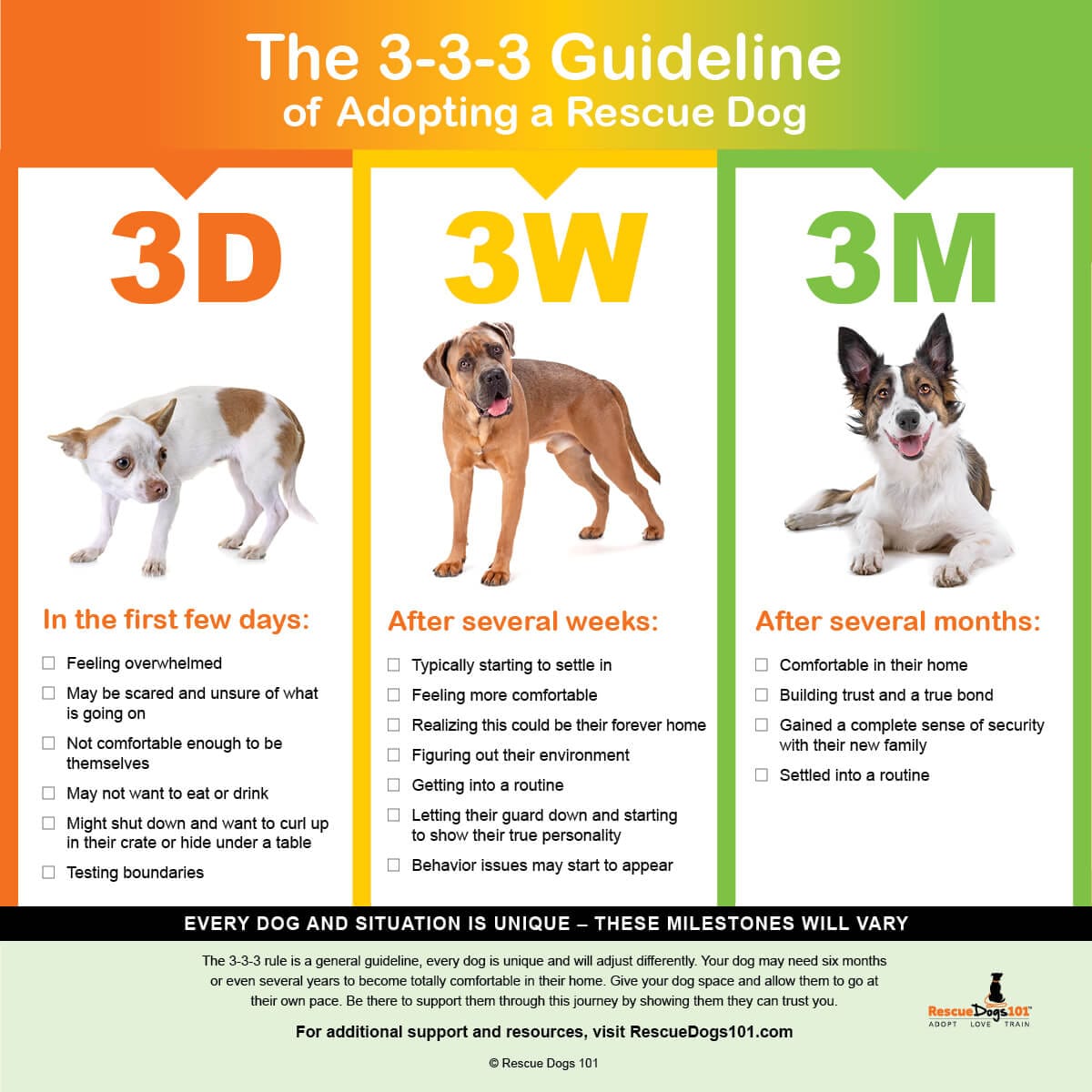 how to make a dog rescue step by step guide for success