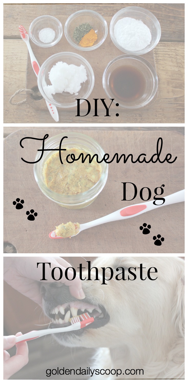 How to Make Homemade Dog Toothpaste: Easy DIY Guide