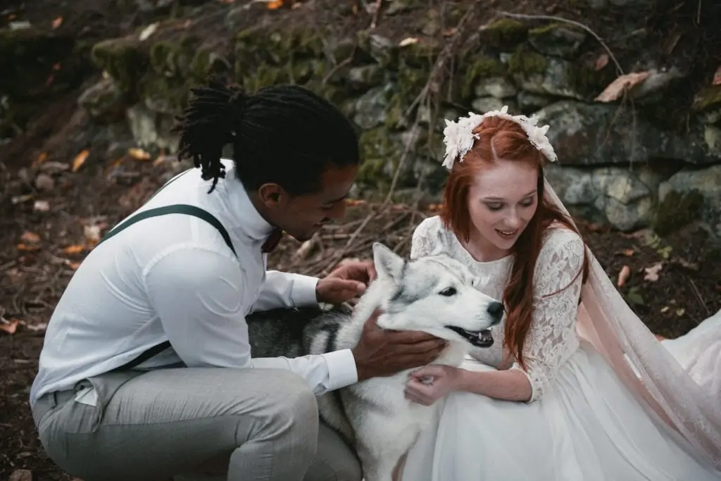How to Plan a Dog-Friendly Wedding: Ultimate Guide