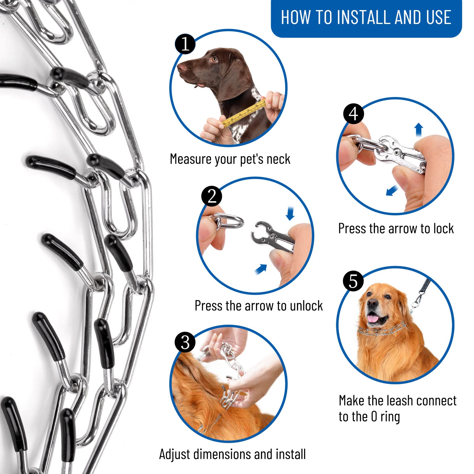 How to Put Dog Collar Together: A Quick Guide