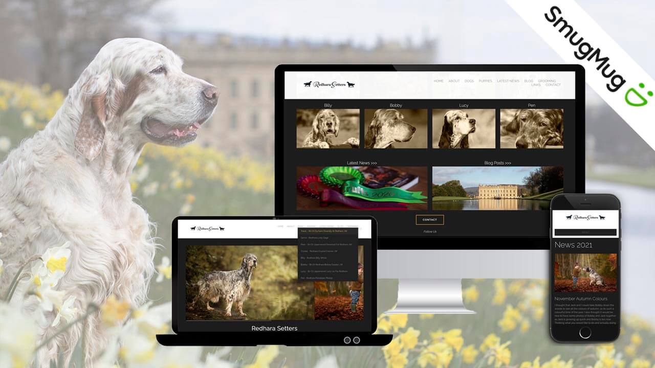 how to set up a dog breeding website easy guide